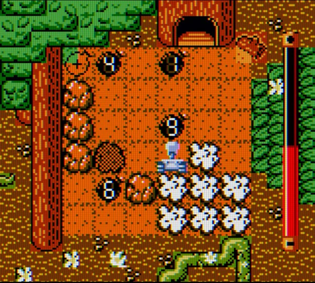 D*Fuzed (GBC) - Collector's Edition - Image 5